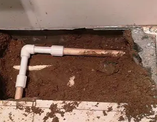 琼海测漏水哪家好