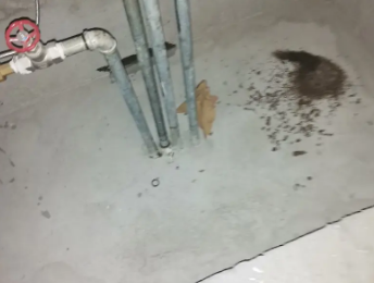 琼海卫生间测漏水价格明细