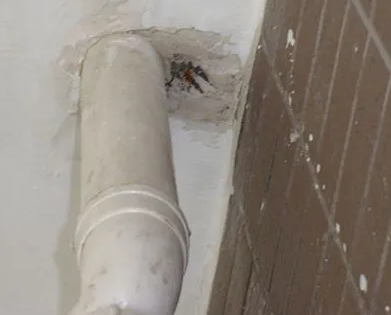 琼海漏水检测哪家好